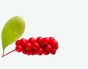 Shaklee Serum shaklee serum