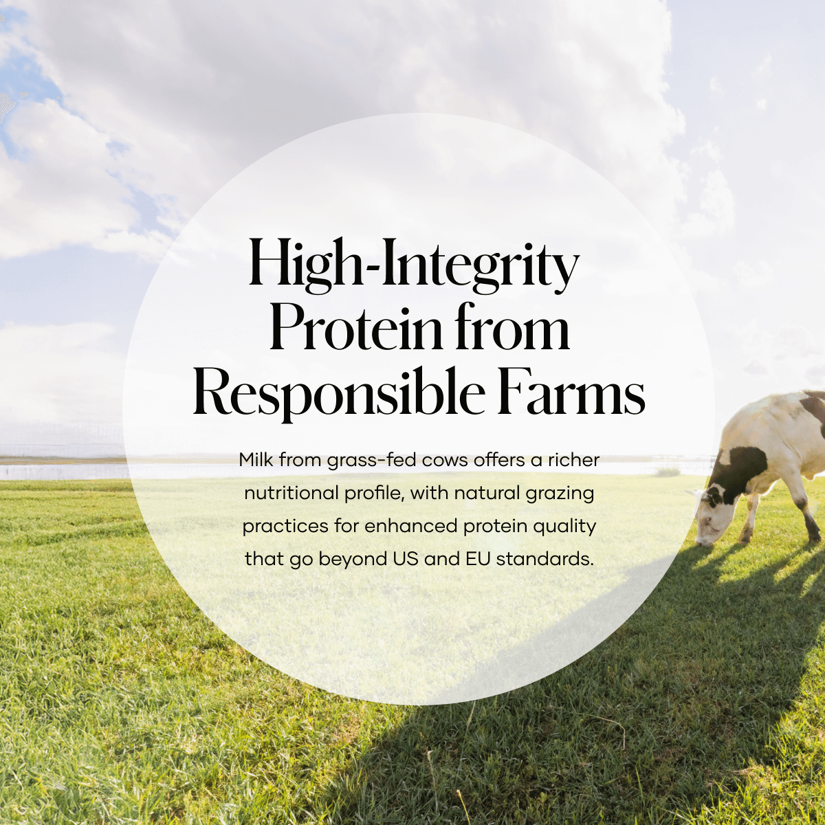 shaklee collagen - Shaklees shaklee collagen