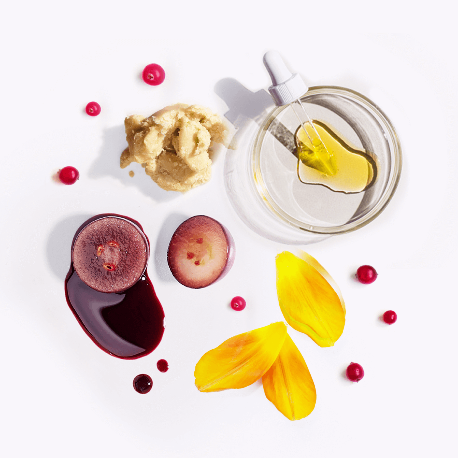 shaklee youth advanced renewal night cream - Shaklees shaklee youth advanced renewal night cream