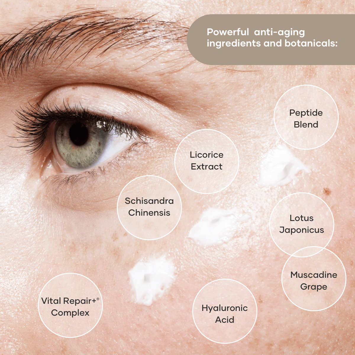 shaklee eye treatment - Shaklees shaklee eye treatment