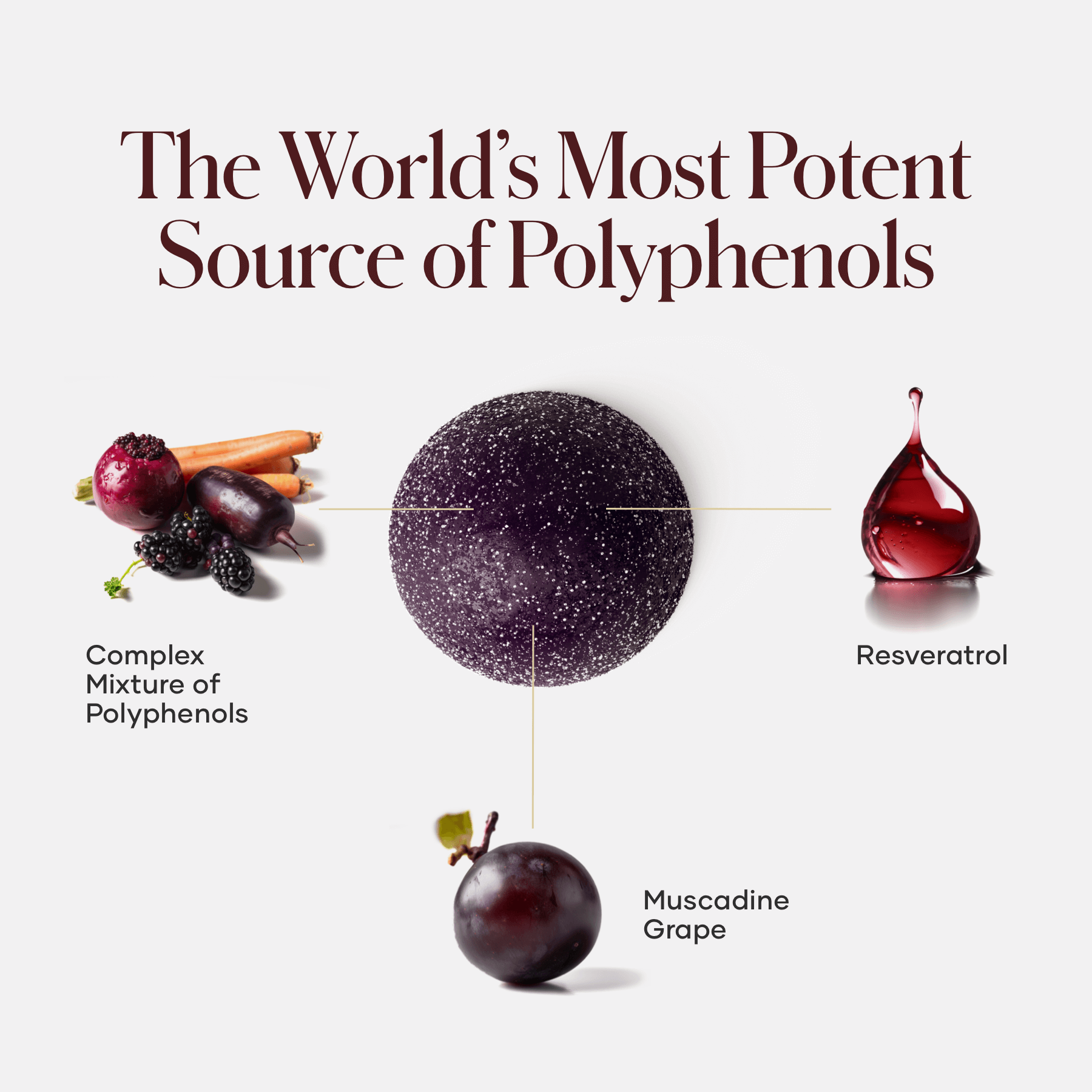 shaklee vivix gummies - Shaklees shaklee vivix gummies